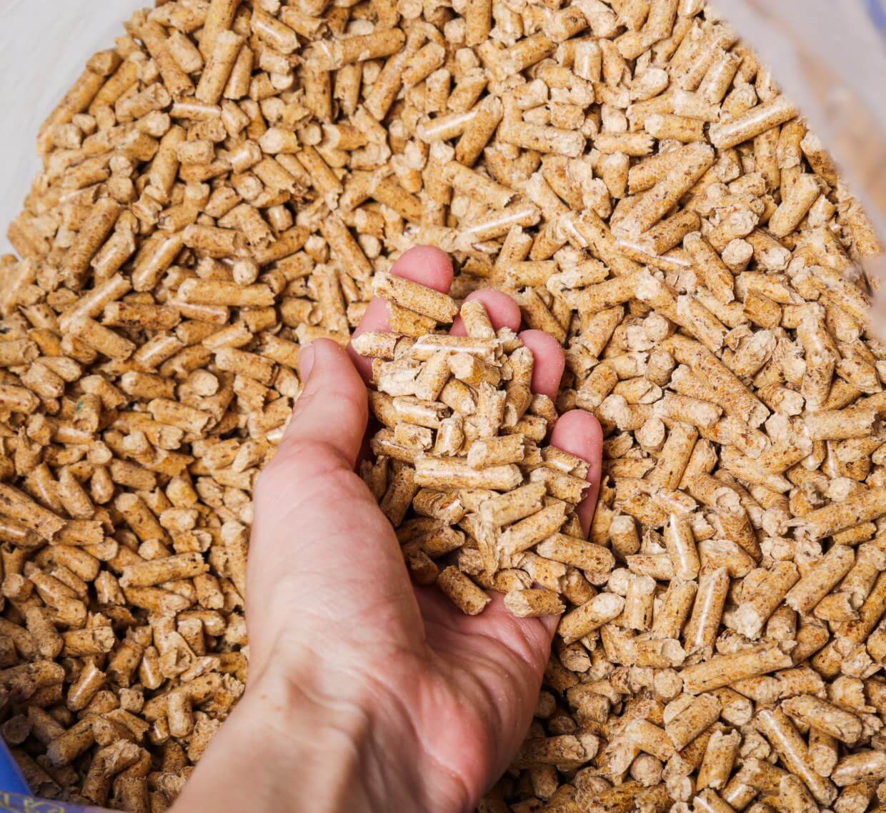 Comment choisir sa chaudière à granulés ?