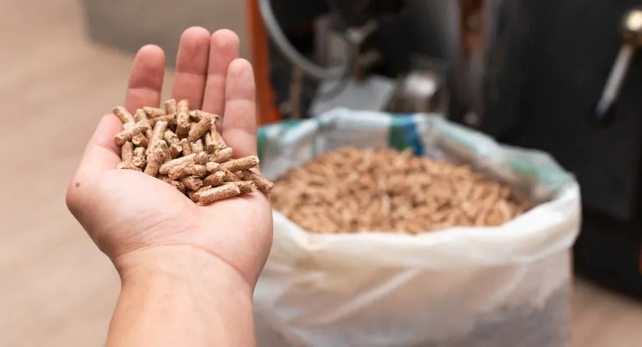 Quelle est la différence entre une chaudière à pellets et une chaudière à bois ?