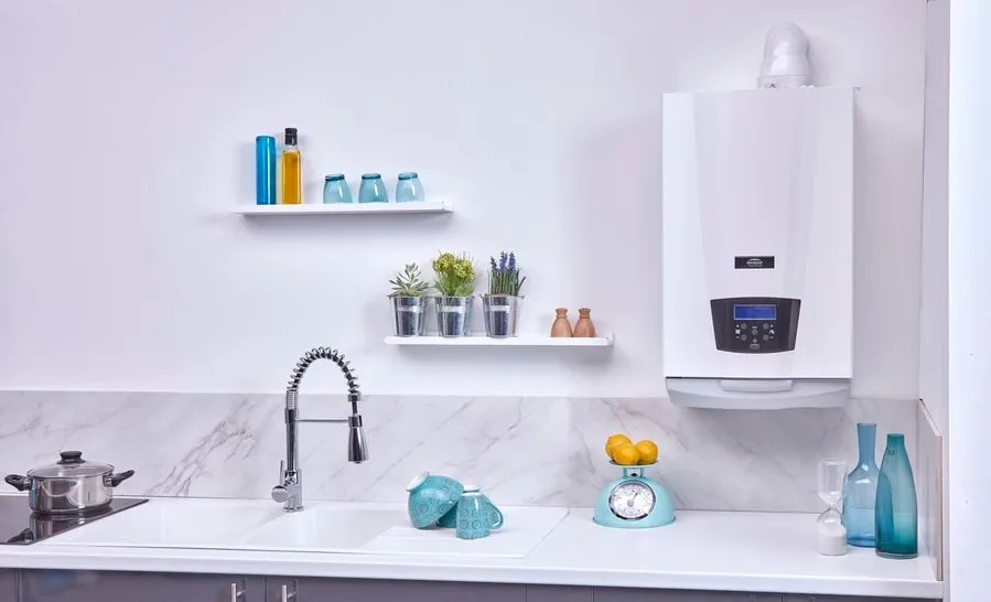 Quels sont les différents types de chauffage biomasse ?