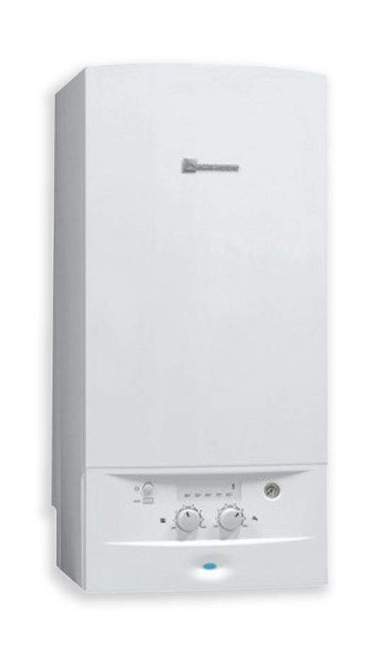 Acleis BAS NOX 24 kW Cheminée NGLM 24-7XN par ELM Leblanc