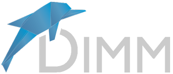 DIMM