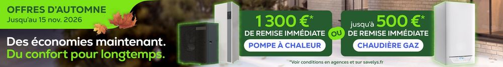 Bannière Savelys